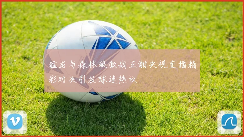 猛龙与森林狼激战正酣央视直播精彩对决引发球迷热议