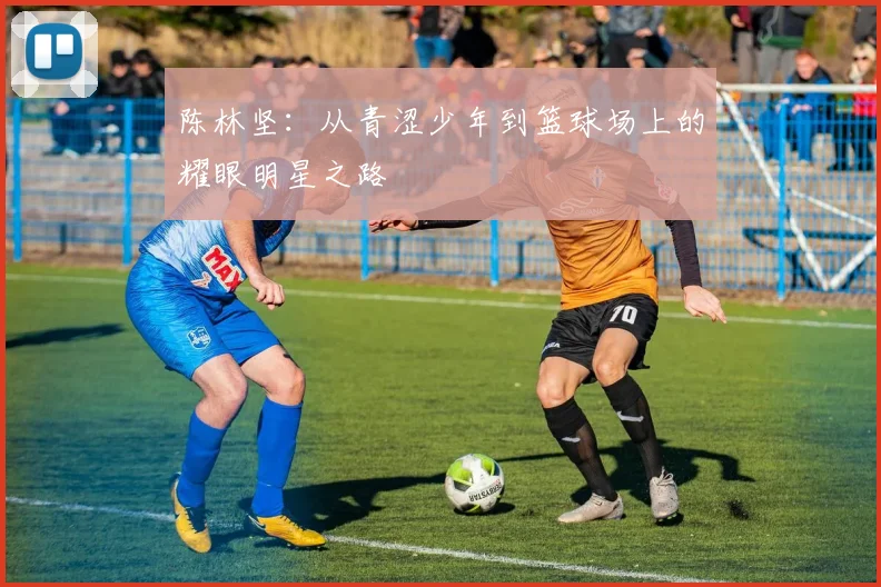 陈林坚：从青涩少年到篮球场上的耀眼明星之路