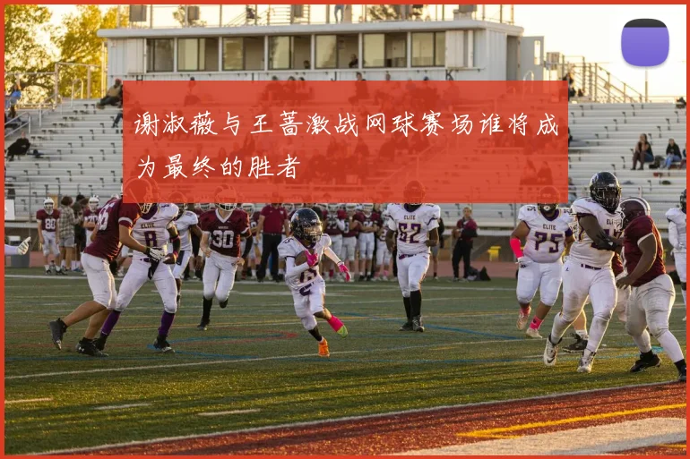 谢淑薇与王蔷激战网球赛场谁将成为最终的胜者