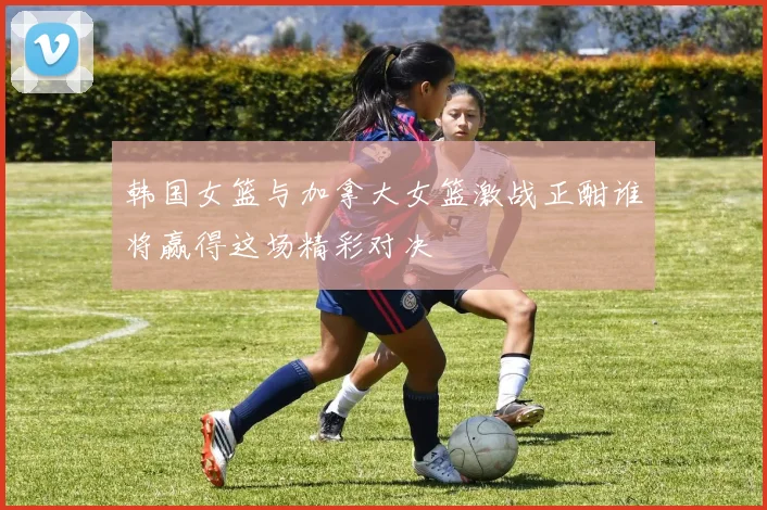 韩国女篮与加拿大女篮激战正酣谁将赢得这场精彩对决