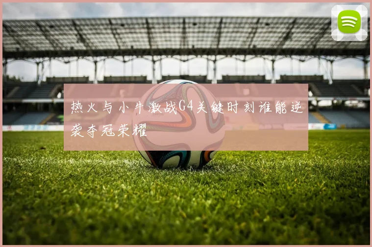 热火与小牛激战G4关键时刻谁能逆袭夺冠荣耀